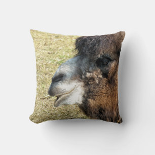 CAMELS CUSHION