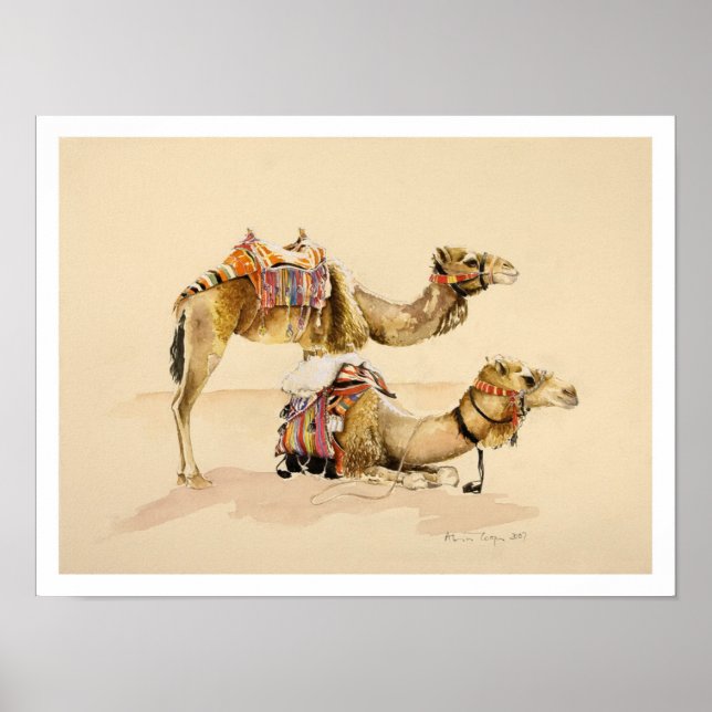 Camels from Petra 2007 Poster (Front)