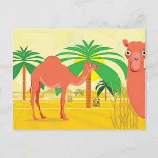 Camels illustration postcard