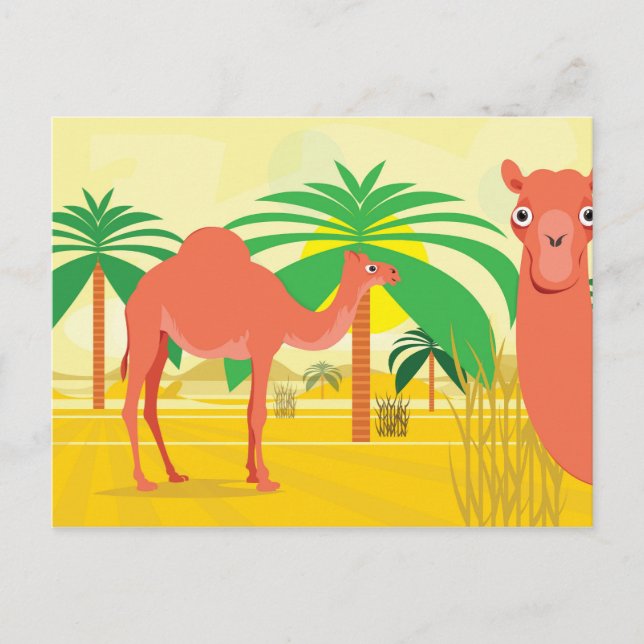 Camels illustration postcard (Front)