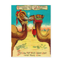 Camels in love, funny vintage St. Valentines