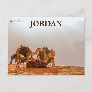 Camels in the Desert in Jordan Postcard