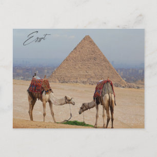 Camels in the desert postcard