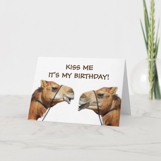 Camels Kissing Funny Greeting Card (Front)