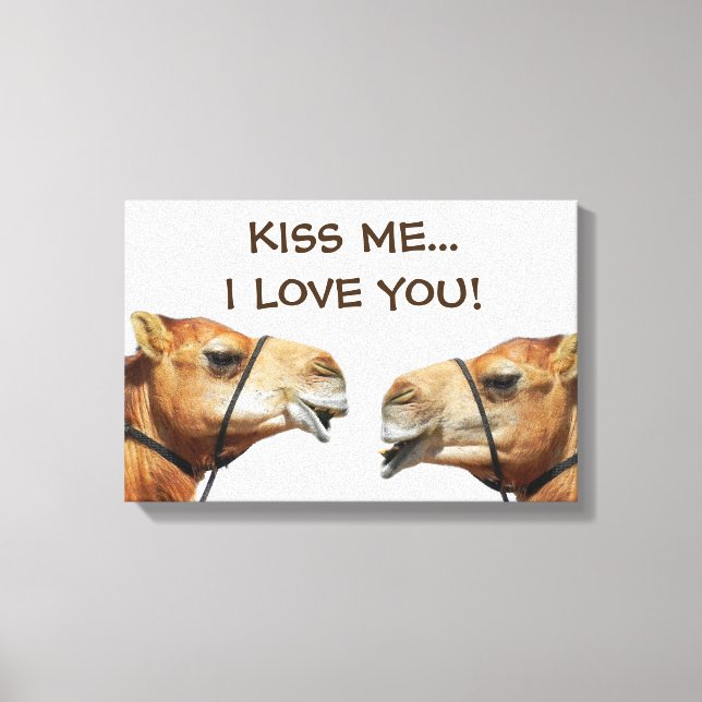 Camels Kissing Funny Wrapped Canvas (Front)