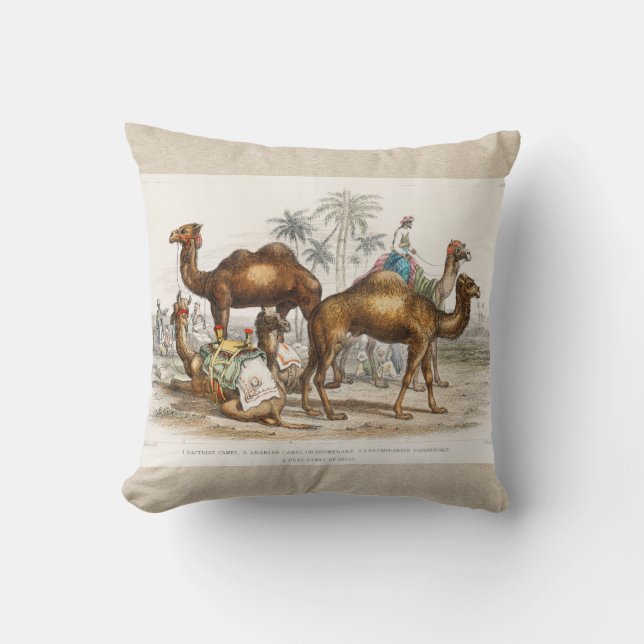Camels of India Vintage Illustration, 1820 Cushion (Front)