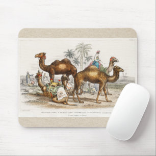 Camels of India Vintage Illustration, 1820 Mouse Pad