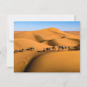 camels on desert under blue sky