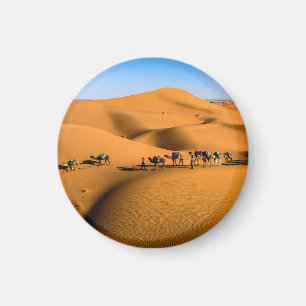 camels on desert under blue sky magnet