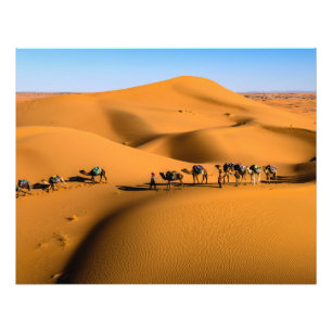 camels on desert under blue sky photo print