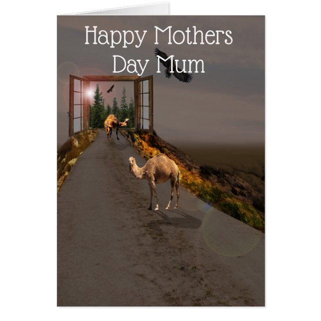 Camels On The Road To Wonderland, Mothers Day (Front)