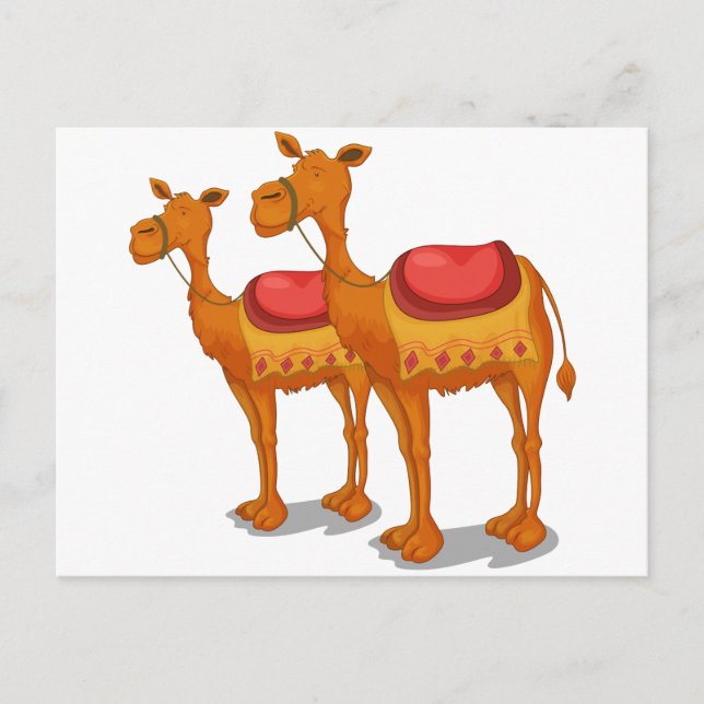 Camels Postcard (Front)