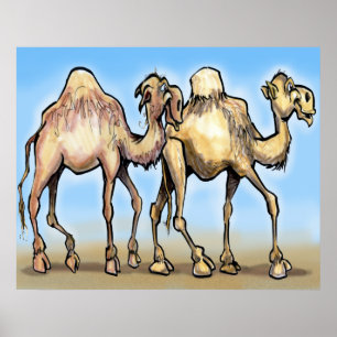 Camels Poster