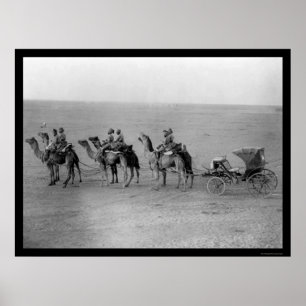 Camels Pulling a Carriage Across the Sahara 1901 Poster