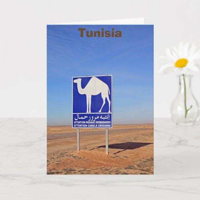 Camels sign, Tunisia Card (Small Plant)