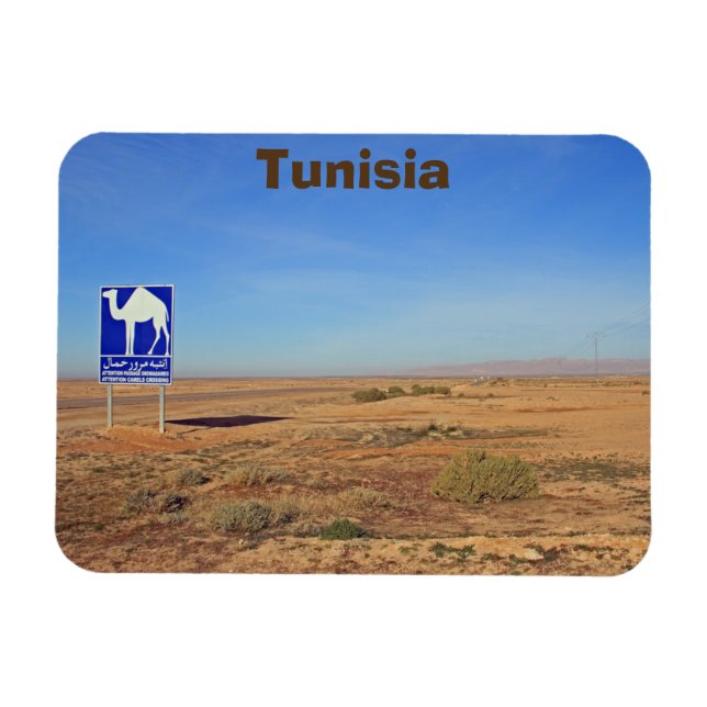 Camels sign, Tunisia Magnet (Horizontal)