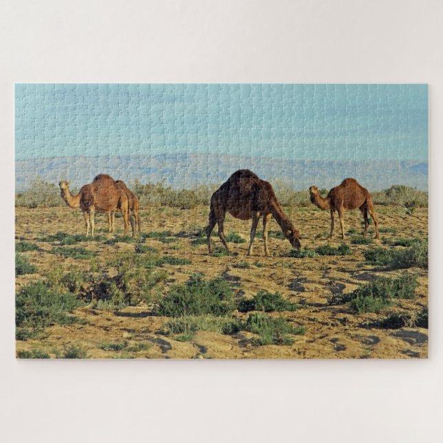 Camels, Tunisia 1014-pc Jigsaw Puzzle (Horizontal)