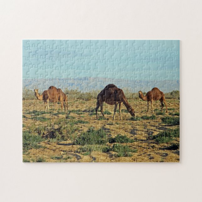 Camels, Tunisia 252-pc Jigsaw Puzzle (Horizontal)