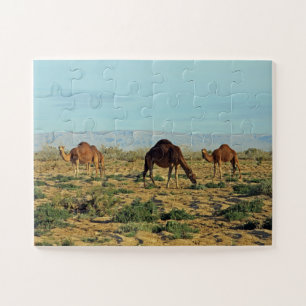Camels, Tunisia 30- Jigsaw Puzzle