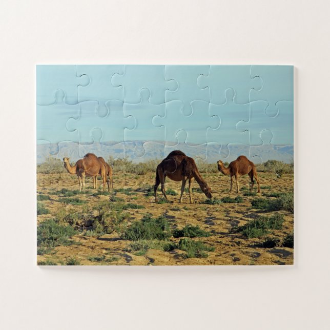 Camels, Tunisia 30- Jigsaw Puzzle (Horizontal)
