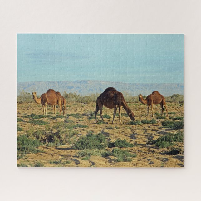 Camels, Tunisia 520-pc Jigsaw Puzzle (Horizontal)