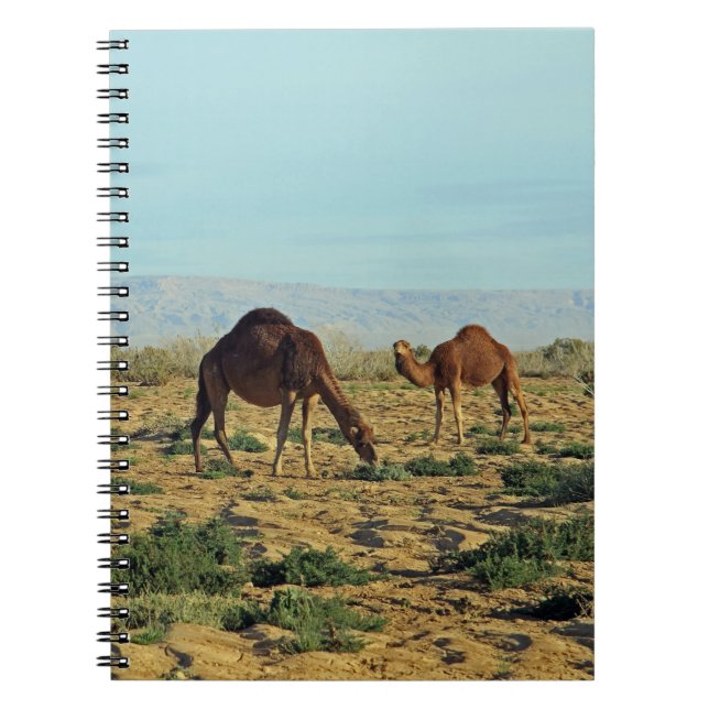 Camels, Tunisia Notebook (Front)
