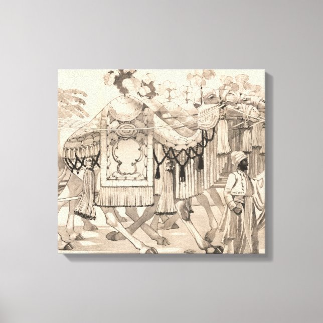 Camels Walking Dressed In Costume Canvas Print (Front)