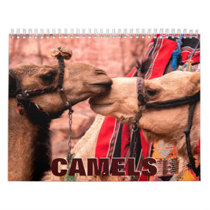 Camels Wall Calendar