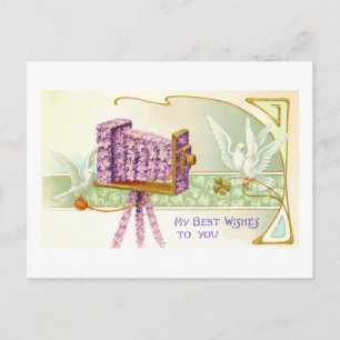 Camera and doves postcard