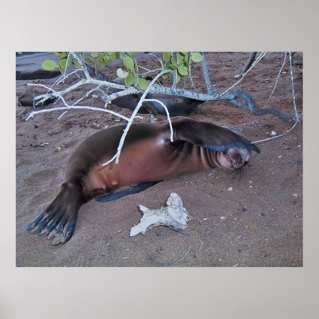 Camera Shy Poster (Front)