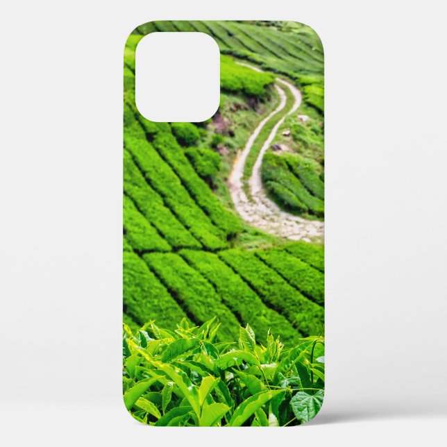 Cameron Highlands Tea Plantation Case-Mate iPhone Case (Back)