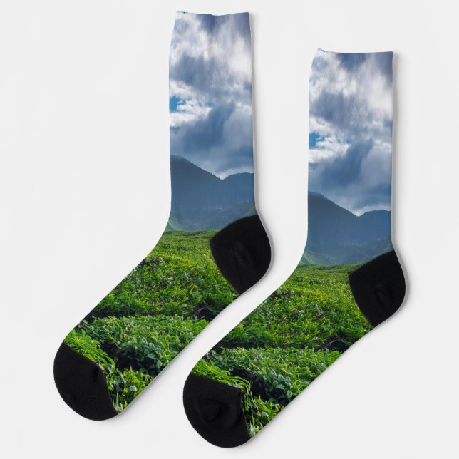Cameron Highlands Tea Plantation Socks (Left)