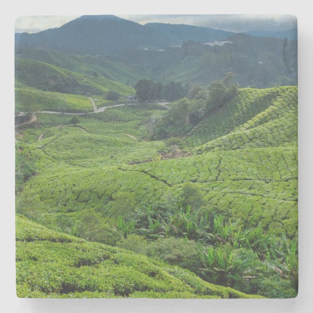 Cameron Highlands Tea Plantation Stone Coaster (Front)