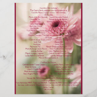 CAMILLE 18TH PROGRAMME