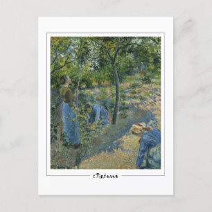 Camille Pissarro #30 - Fine Art Postcard