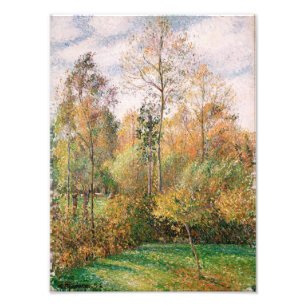 Camille Pissarro - Autumn, Poplars, Eragny Photo Print