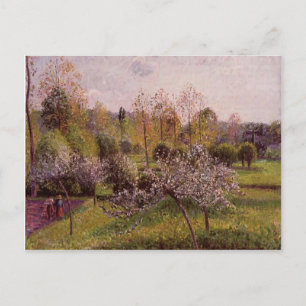 Camille Pissarro- Flowering Apple Trees, Eragny Postcard