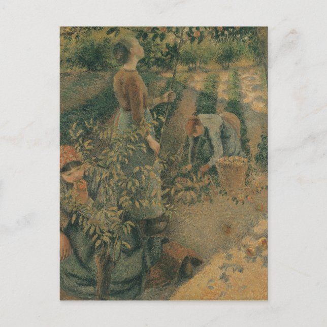 Camille Pissarro | The Apple Pickers, 1886 Postcard (Front)