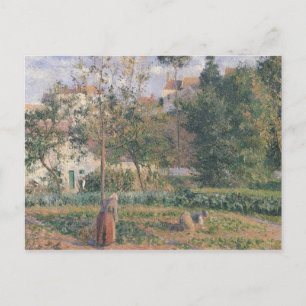 Camille Pissarro   Vegetable Garden at the Hermita Postcard