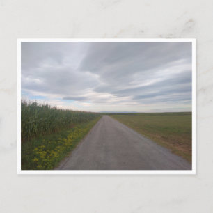 Camino de Santiago del Norte (Spain) Postcard