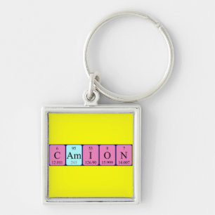 Camion periodic table keyring