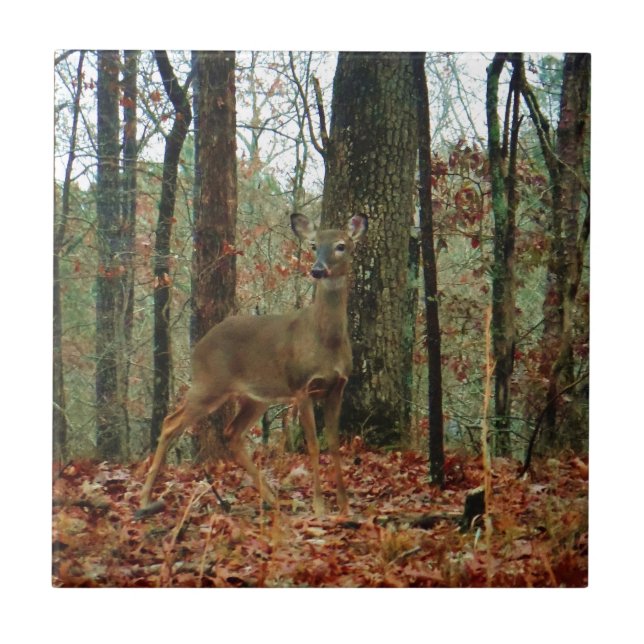Camo,Camouflage Deer Tile (Front)
