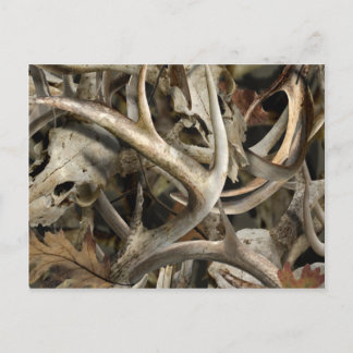 Camo Deer Skulls Postcard