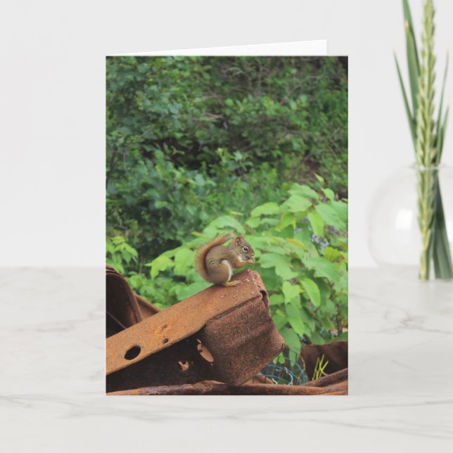 Camo Squirrel Card (Front)
