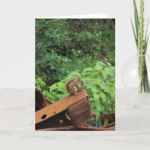 Camo Squirrel Card