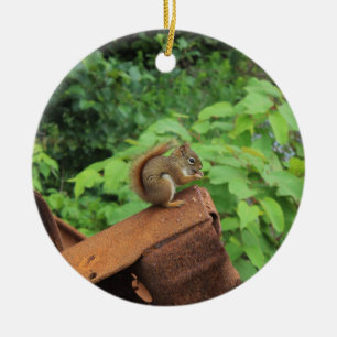 Camo Squirrel Ceramic Tree Decoration