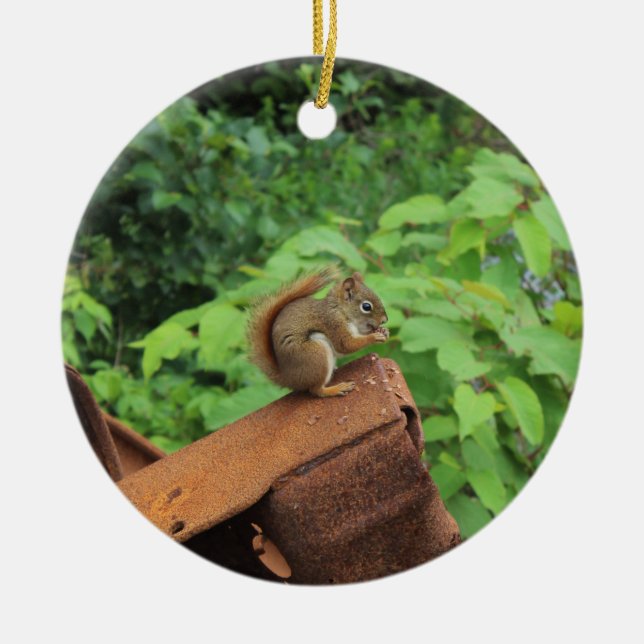 Camo Squirrel Ceramic Tree Decoration (Front)