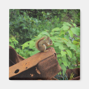 Camo Squirrel Magnet