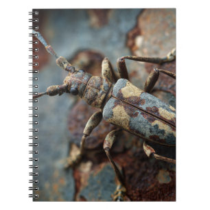 Camouflage Beetle Bark Notebook