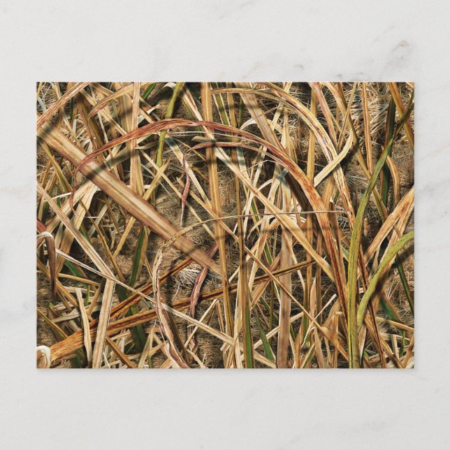 Camouflage By john Postcard (Front)